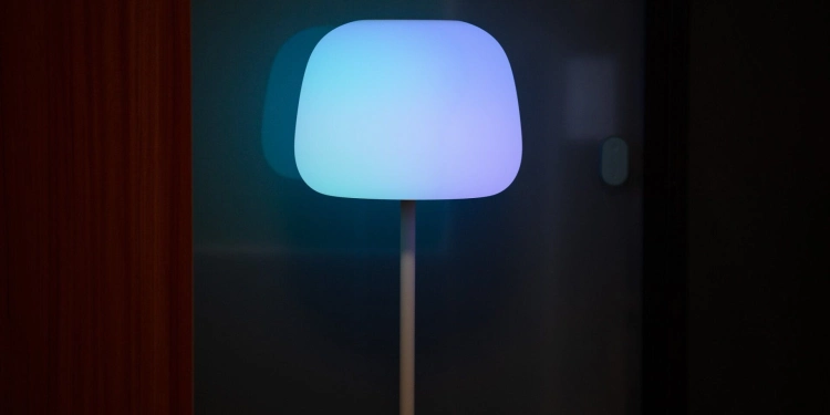 Govee lantern 4