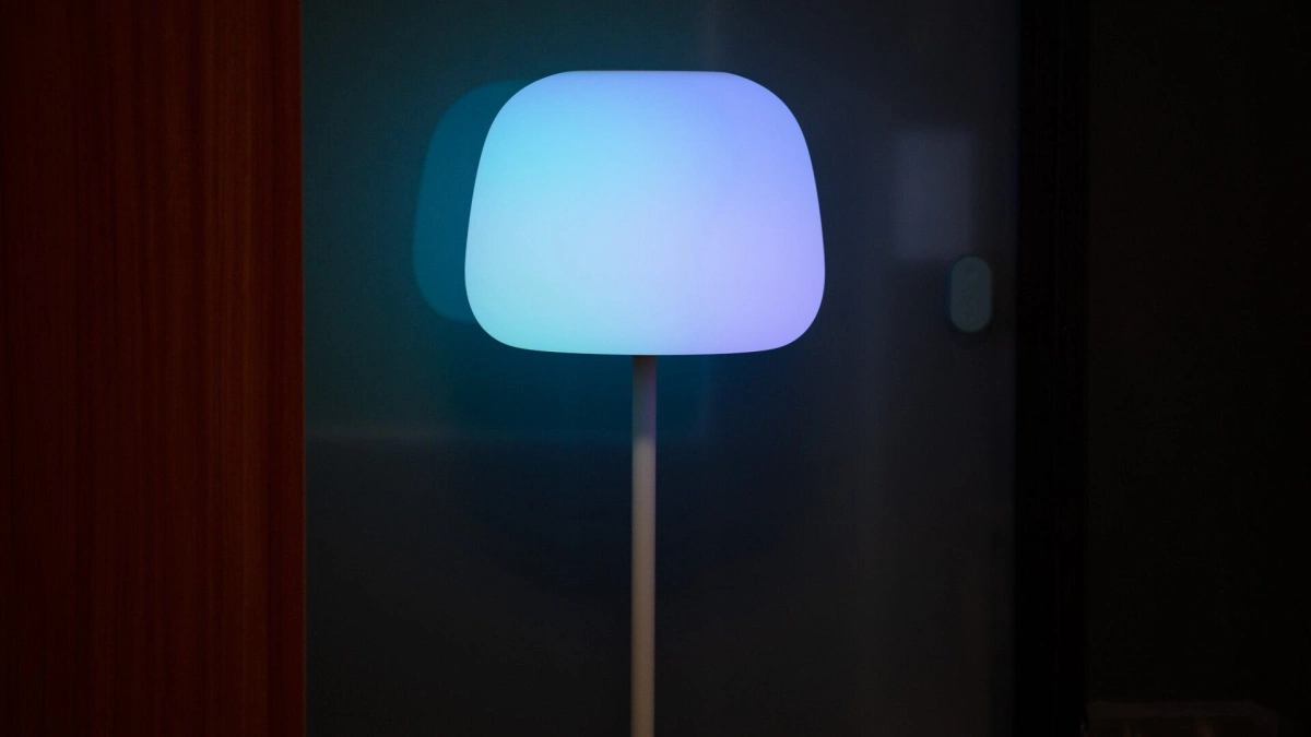 Govee lantern 4