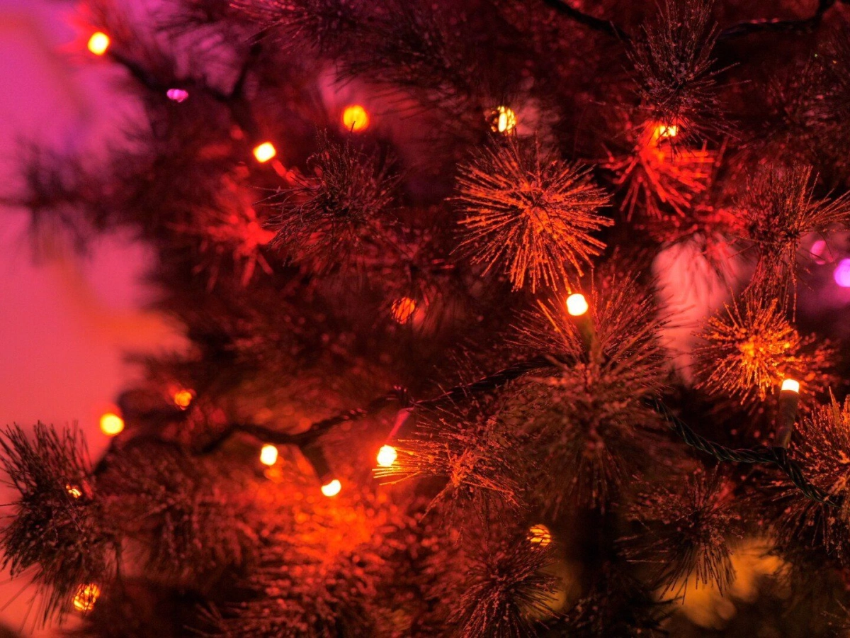 Govee Guirlande Lumineuse Noël Sparkle 20M RGBWIC 250 LEDs - Contrôle App Alexa