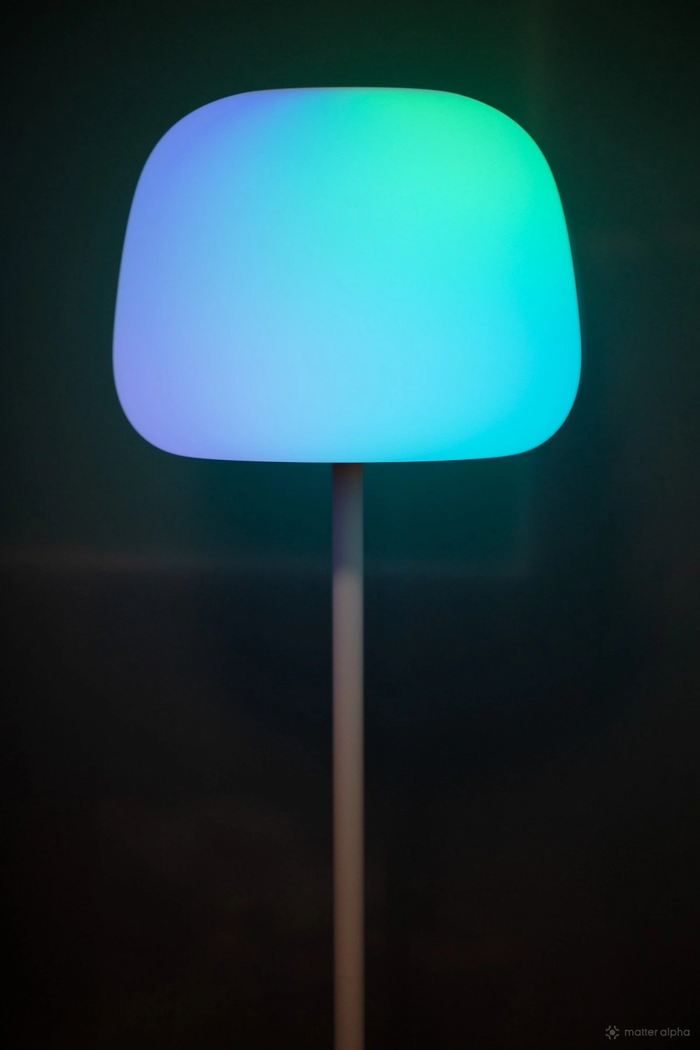 Govee lantern 5