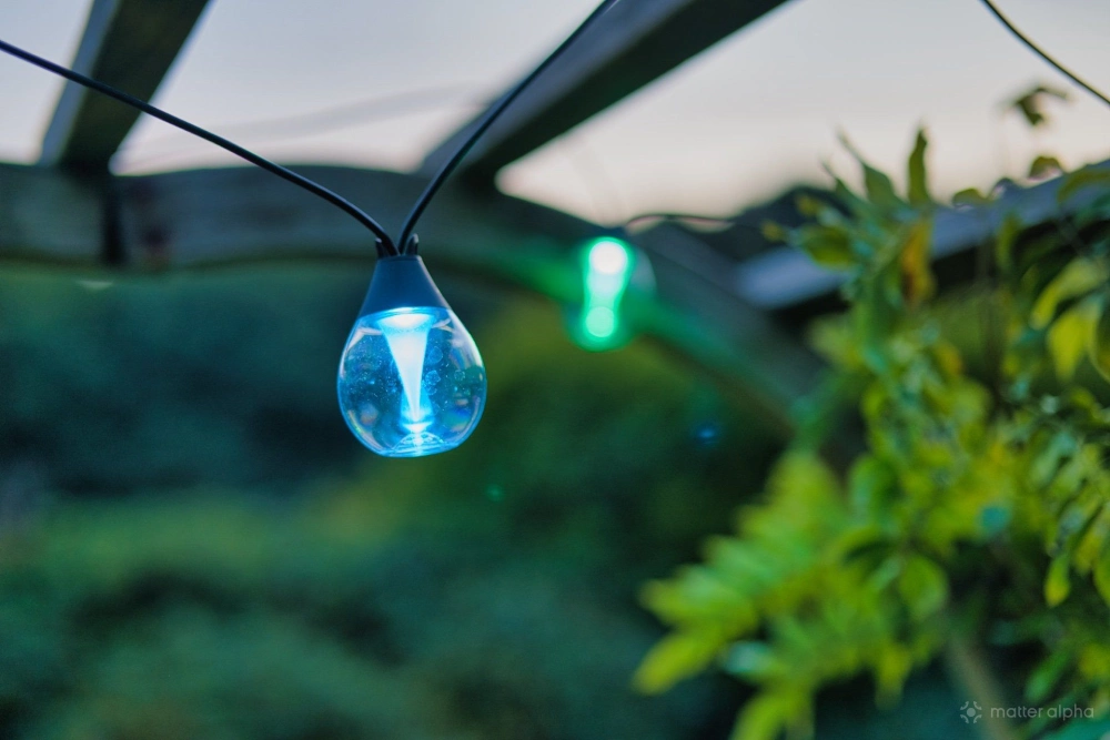 Govee outdoor clear bulb string lights bulb shape and inside