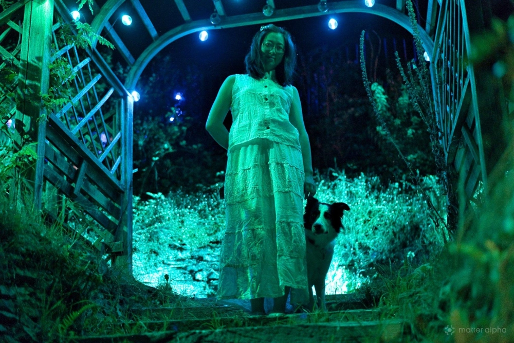 Govee outdoor clear bulb string lights flood area with light