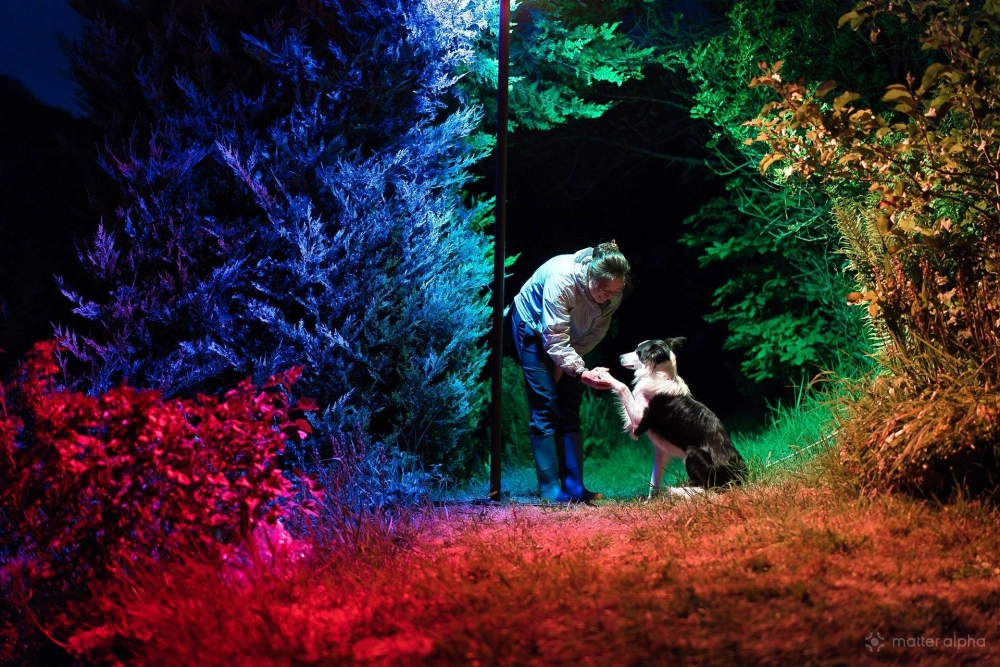 Govee outdoor lamp post review thor