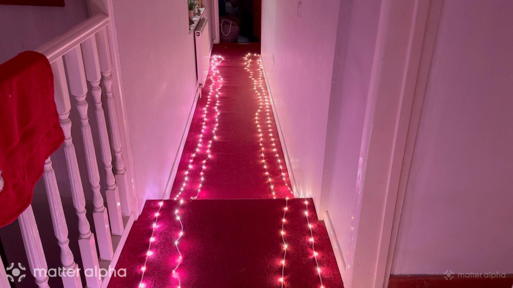 Govee xmas string lights 2 review side by side