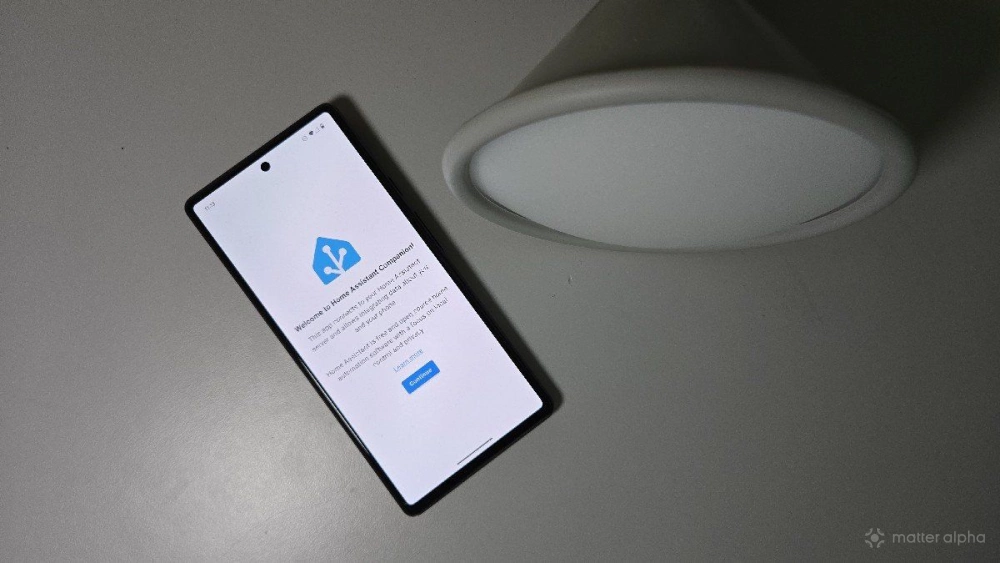 Home assistant app on a google pixel 6