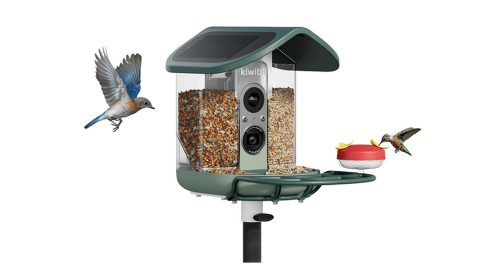 Kiwibit Solar Smart Bird Feeder with Camera, AI Bird Species Identification Kiwibit Solar Smart Bird Feeder with Camera, AI Bird Species Identification