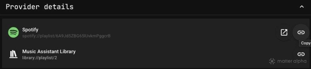Provider details for a playlist in music assistant