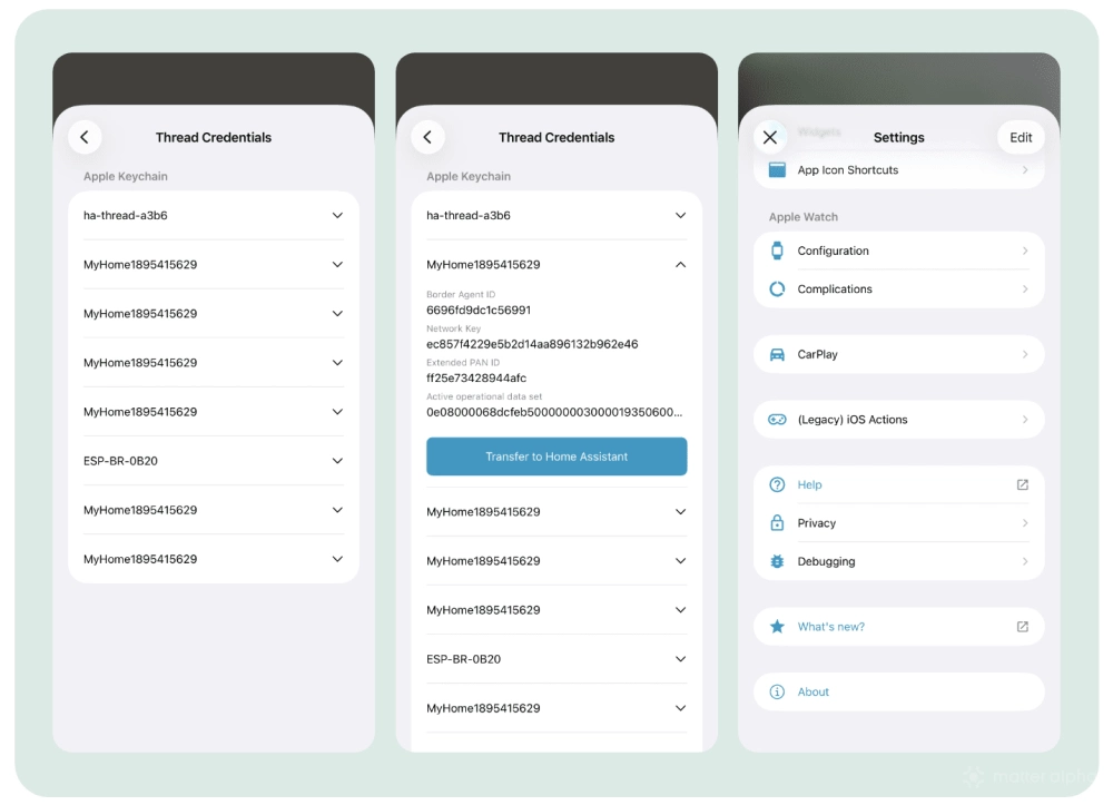 Send thread credentials to ha Send thread credentials to ha