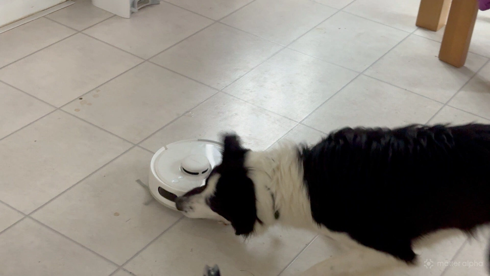 Switchbot k10 plus pro combo review dog eats the robovac Switchbot k10 plus pro combo review dog eats the robovac