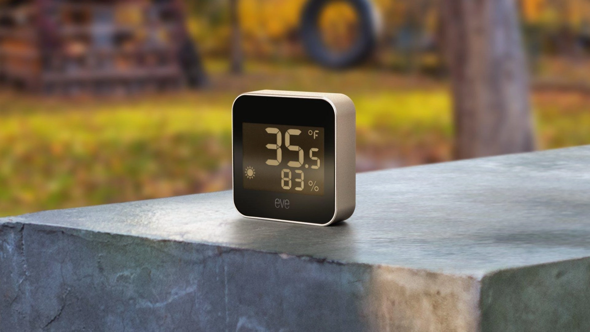 Eve weather lifestyle