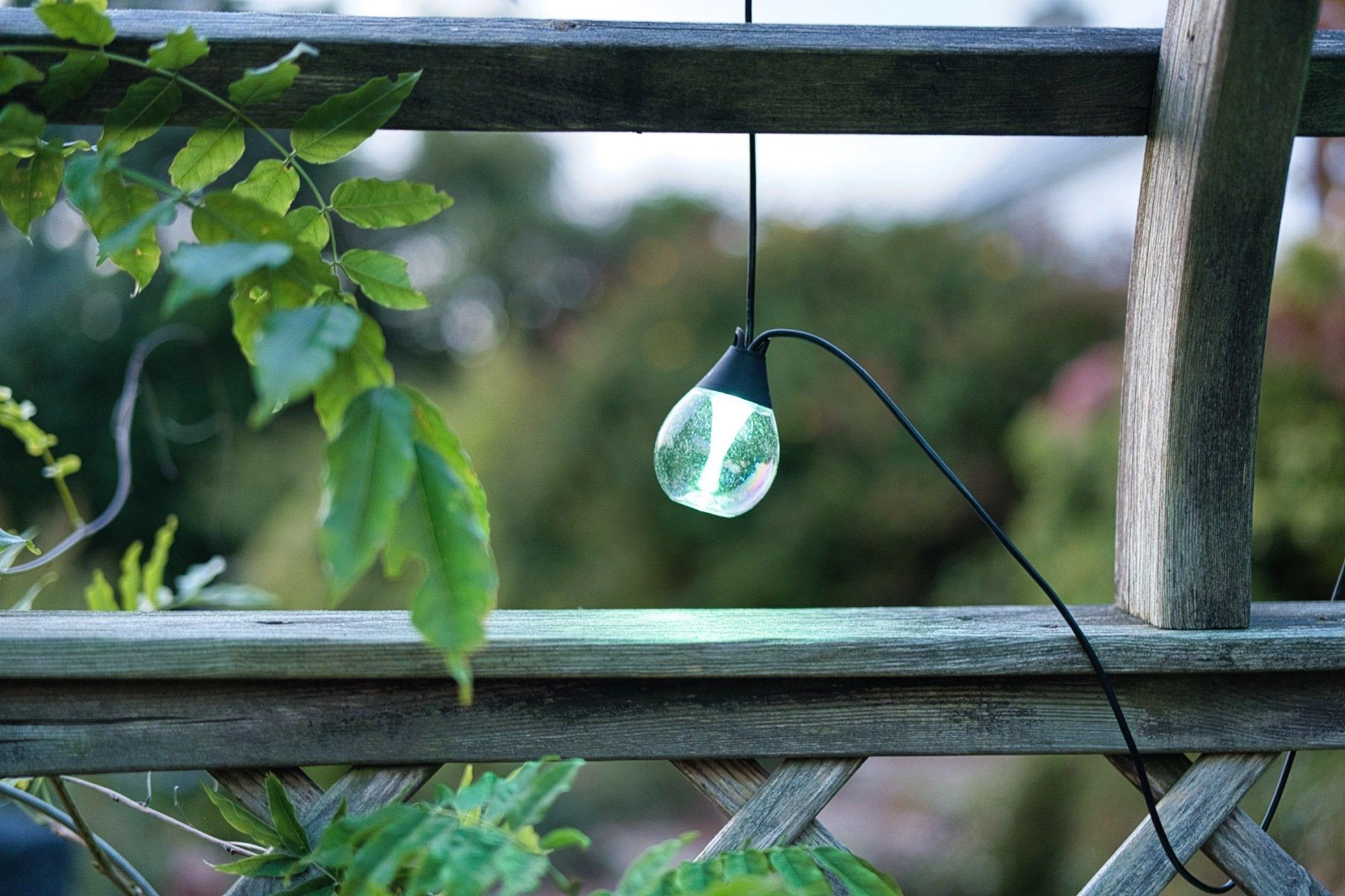 Govee outdoor clear bulb string lights daytime use