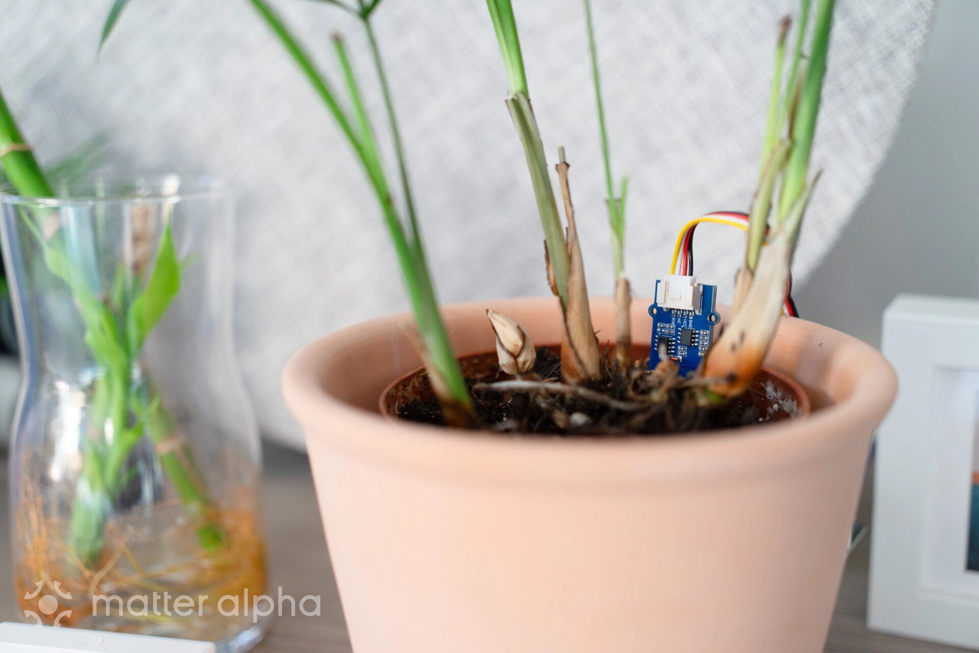 Seeed soil sensor mg24 2