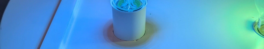 Pxl 20260107 182459547