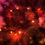 Govee Xmas Sparkle Lights review: Maximum twinkle