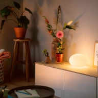 New matter lamp from Philips Hue accidentally leaked: report