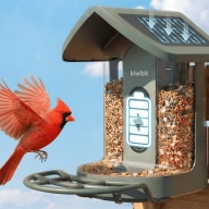 This AI bird feeder feels like the perfect Matter device — except it isn’t