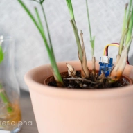 How to make a Matter soil moisture sensor with XIAO MG24