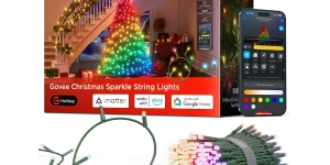 Govee Christmas Sparkle Lights (66ft)