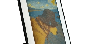 SMARTWIZ+ art