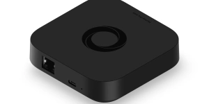 Homey Pro Mini