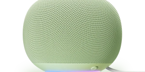 Google Smart Speaker