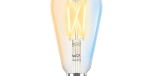 WiZ ST19 Filament
