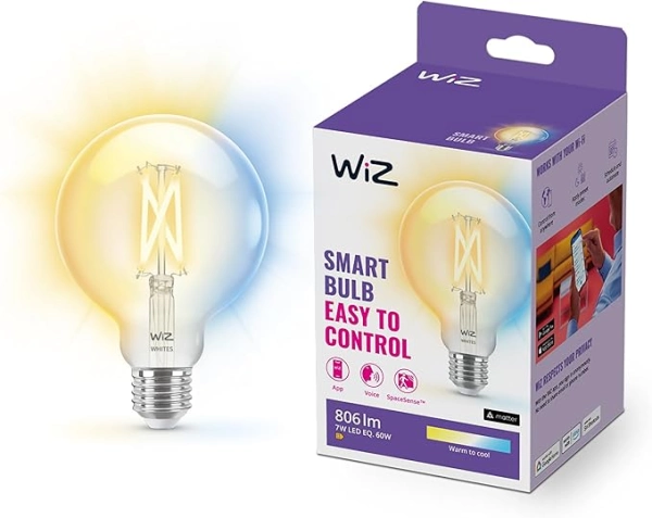 WiZ G95 E27 60W Globe Filament