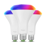 Nanoleaf BR30 E26 Smart Bulb