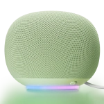 Google Smart Speaker