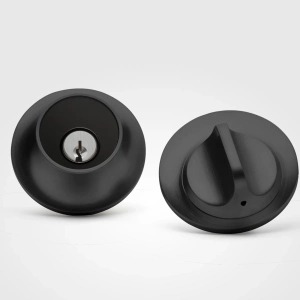 Level Lock (Matter)