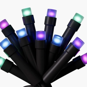 Essentials Holiday String Lights