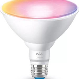 WiZ Spot Light