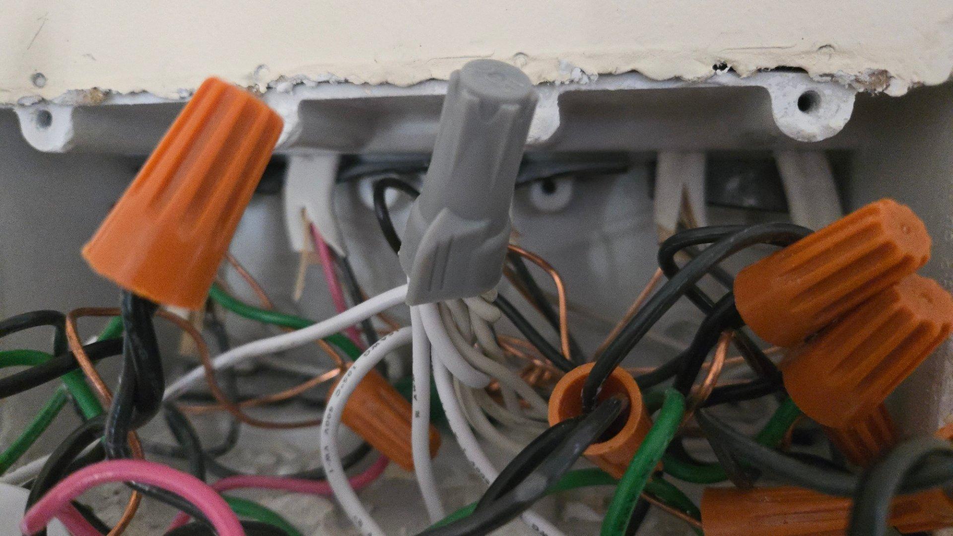 A bundle of nine neutral cables under one wire nut