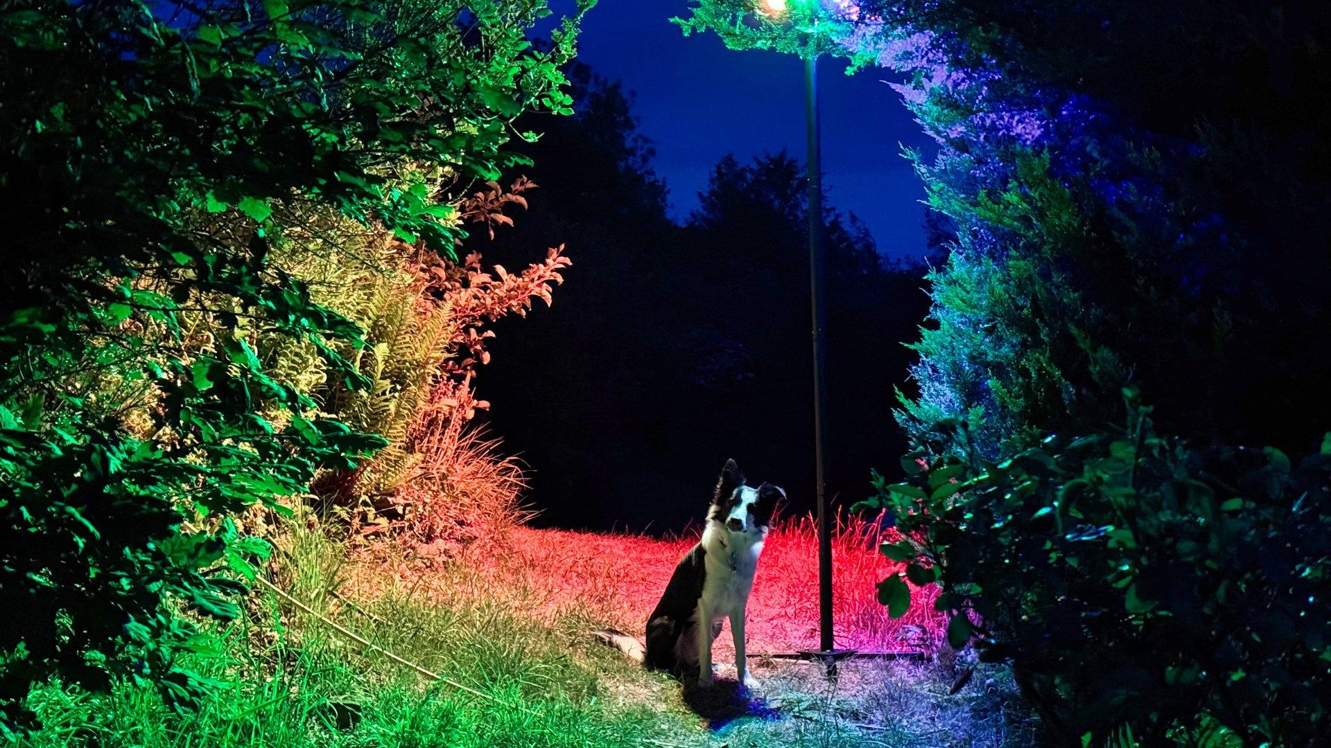 Govee outdoor lamp post review thor sitting underneath