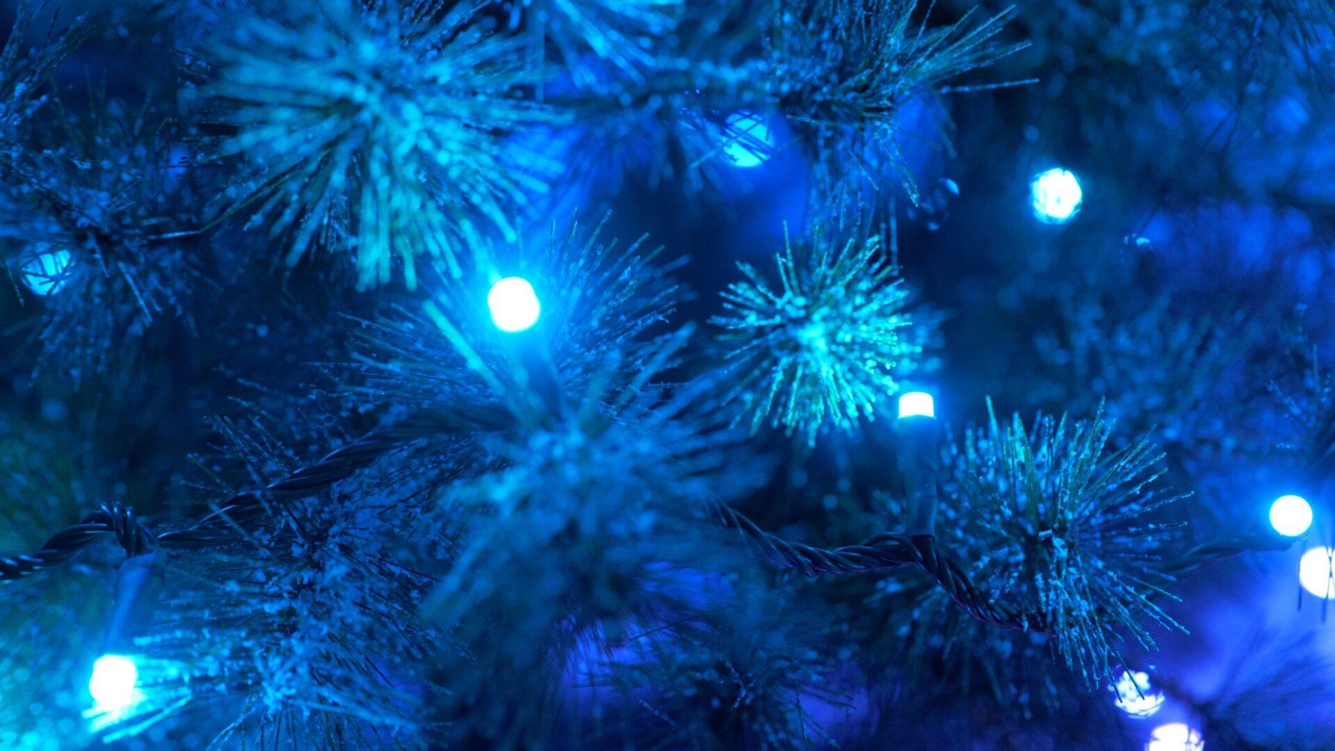 Govee xmas sparkle lights tree close up sparkle