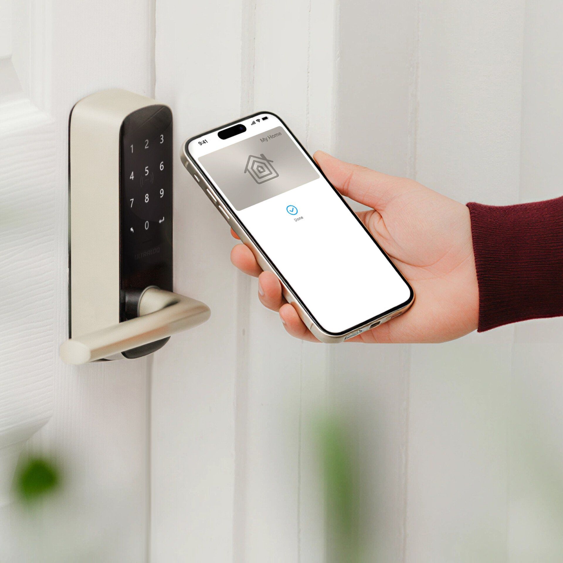 Image 20260102 191617 79c0a916 Image 20260102 191617 79c0a916