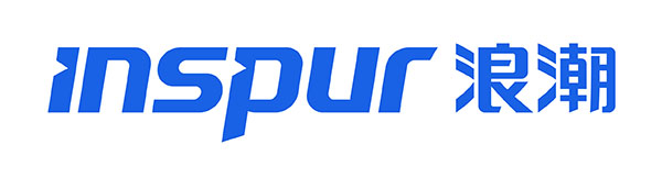 inspur